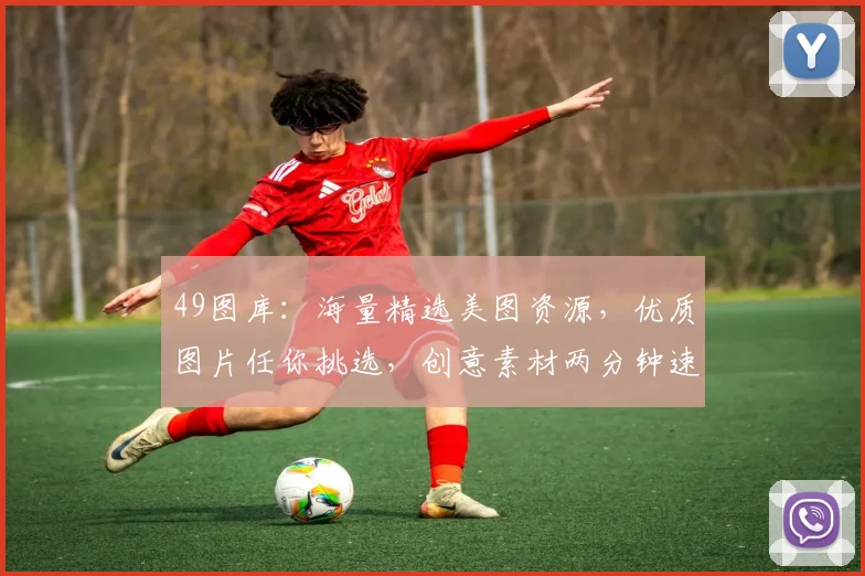 49图库：海量精选美图资源，优质图片任你挑选，创意素材两分钟速达