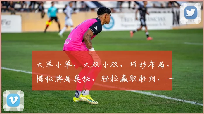 大单小单，大双小双，巧妙布局，揭秘牌局奥秘，轻松赢取胜利，一招制胜