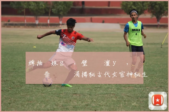 婢抽棬姝ｇ増，璧勬枡澶у叏，鍏嶈垂鏃犱笉涓揭秘古代女官神秘生活