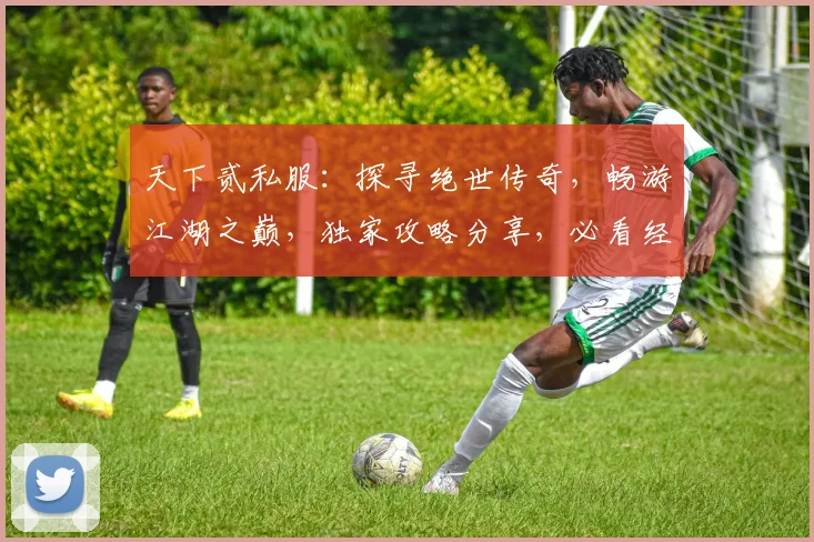 天下贰私服：探寻绝世传奇，畅游江湖之巅，独家攻略分享，必看经验