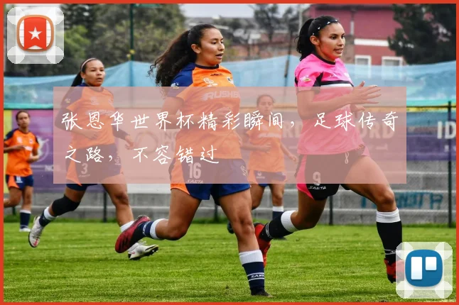 张恩华世界杯精彩瞬间，足球传奇之路，不容错过