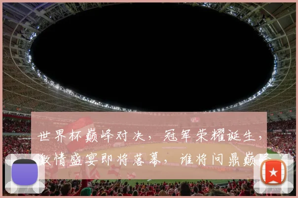世界杯巅峰对决，冠军荣耀诞生，激情盛宴即将落幕，谁将问鼎巅峰